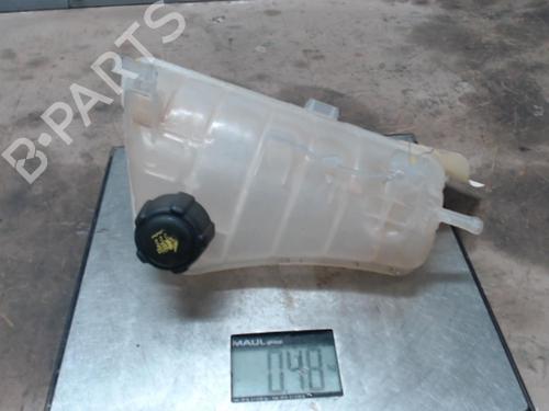 Expansion tank RENAULT KANGOO Express (FW0/1_) 1.5 dCi 75 (FW07, FW10, FW04) | BP21301596C120 