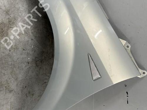 Left front fenders RENAULT GRAND SCÉNIC II (JM0/1_) 1.9 dCi (JM0G, JM12, JM1G, JM2C) | BP21304906C41 