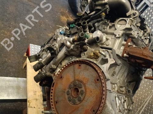 Motor Motor RENAULT LAGUNA II (BG0/1_) 3.0 V6 24V (BG01, BG02, BG0D, BG0Y) (207 hp) 21319396 21319396