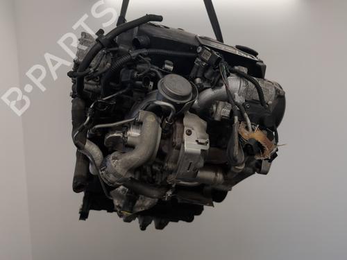 Engine VW TOURAN (1T1, 1T2) 1.9 TDI | BP24331557M1 