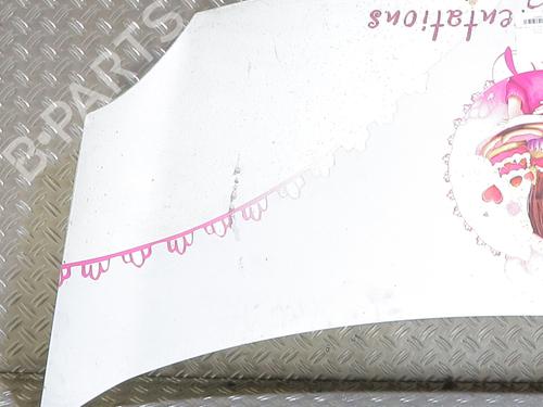 hood-renault-kangoo-express-fw01_-2008-38344200 main image