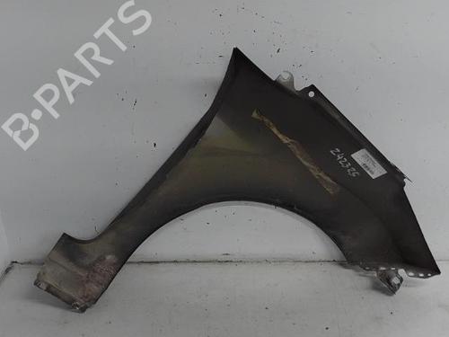 Left front fenders FORD FIESTA VI (CB1, CCN) 1.6 TDCi | BP21292904C41 