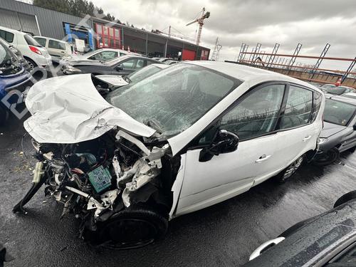 Left rear door RENAULT SCÉNIC III (JZ0/1_) 1.5 dCi | BP21369959C4 