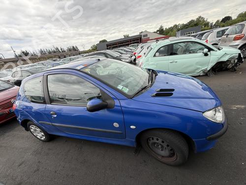 Front left panel PEUGEOT 206 Hatchback (2A/C) 1.1 i | BP27369200C58 - Image 12