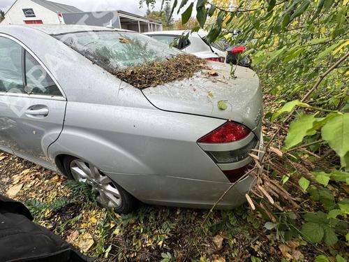 Steering column stalk MERCEDES-BENZ S-CLASS (W221, V221) S 320 CDI (221.022, 221.122) | BP21316249I23