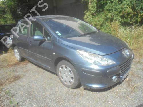 Hood PEUGEOT 307 (3A/C) 1.6 HDi | BP21299338C1 