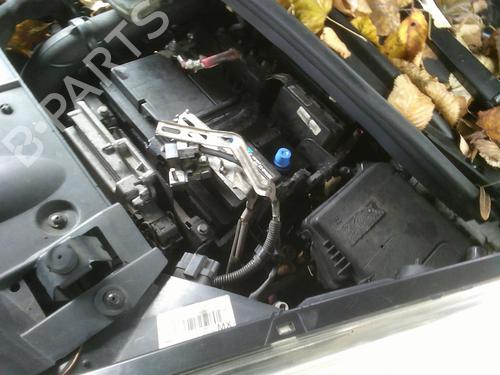 Right front fog light RENAULT SCÉNIC III (JZ0/1_) 1.6 dCi (JZ00, JZ12) | BP29073207C31 