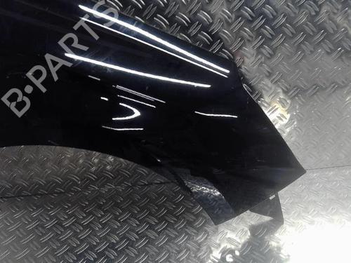 Right front fenders CITROËN C4 II (NC_) 1.6 HDi 90 | BP24863785C42 