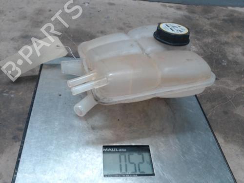 Used Expansion tank FORD KUGA I 2.0 TDCi (136 hp) 21314970