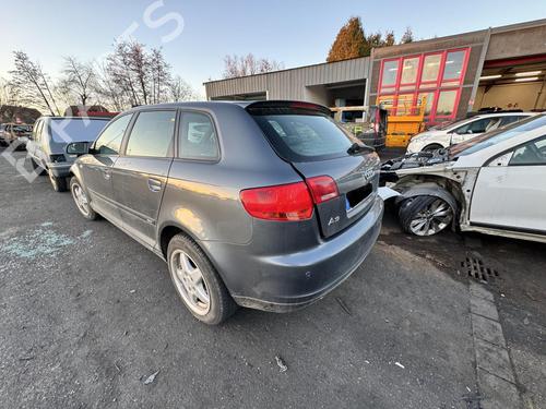 Alternator AUDI A3 Sportback (8PA) 2.0 TDI 16V quattro | BP21297424M7 
