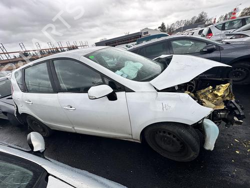 Left rear door RENAULT SCÉNIC III (JZ0/1_) 1.5 dCi | BP21369959C4 