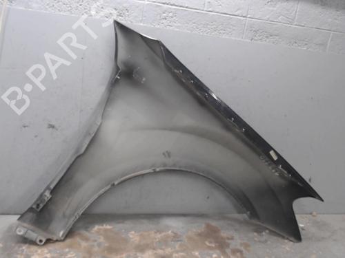 Left front fenders MERCEDES-BENZ M-CLASS (W164) ML 63 AMG 4-matic (164.177) | BP21313325C41 