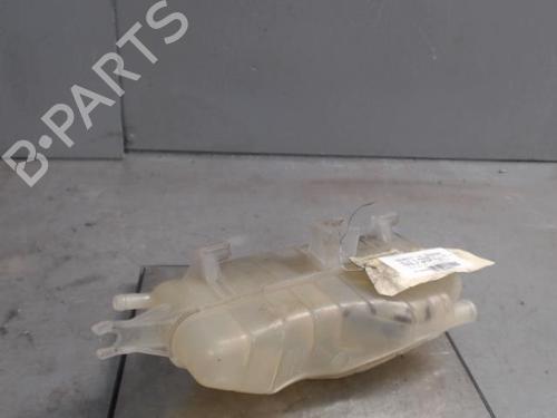 Expansion tank RENAULT CLIO III (BR0/1, CR0/1) 1.2 16V (BR0P, CR0P) | BP21311631C120 