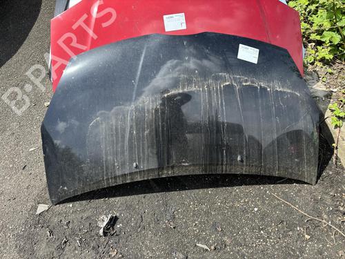 Hood TOYOTA COROLLA Verso (ZER_, ZZE12_, R1_) 1.8 (ZNR11_, ZNR11R) | BP21316704C1 