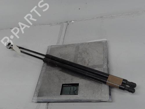 Used Tailgate lift support VW CADDY III MPV (2KB, 2KJ, 2CB, 2CJ) 1.9 TDI (105 hp) 21362933