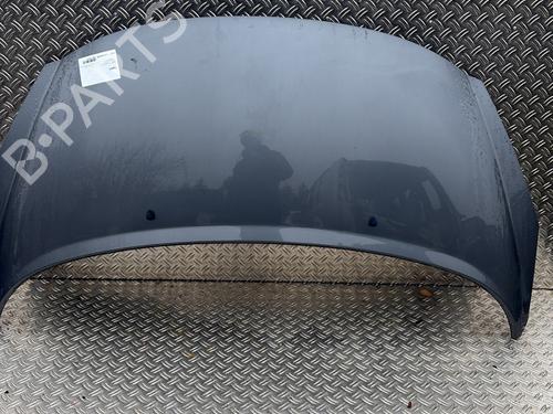 Used Hood PEUGEOT 207 (WA_, WC_) 1.6 HDi (90 hp) 29894855