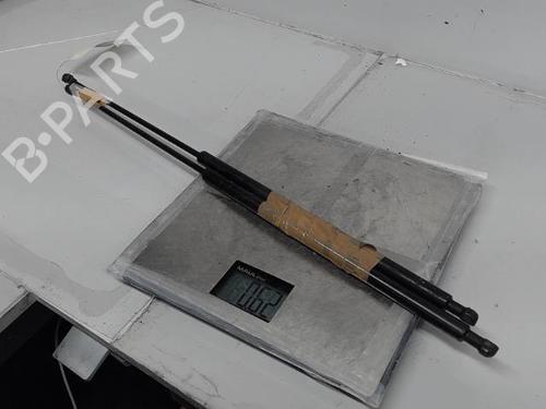 Hood lift support PEUGEOT 406 (8B) 2.0 HDI 110 | BP21363288C139 