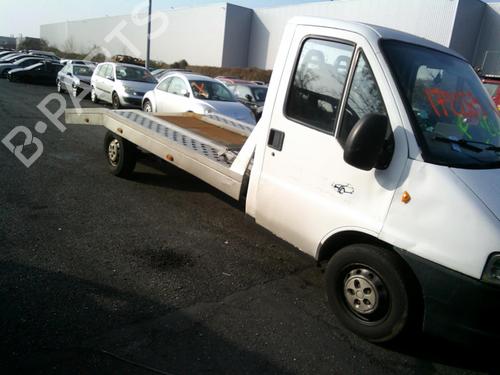 - Image 4