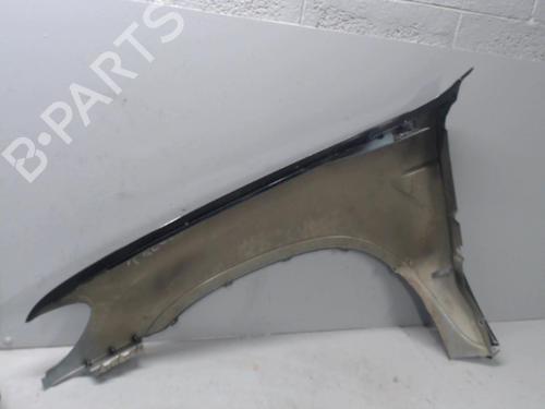 Right front fenders BMW X5 (E53) 3.0 d | BP21303480C42 