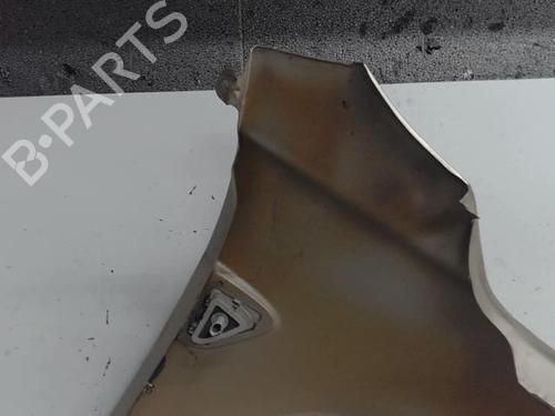 Left front fenders CHEVROLET CAPTIVA (C100, C140) 2.0 D | BP21300717C41 