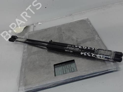 Tailgate lift support FIAT PUNTO (188_) 1.9 JTD 80 (188.237, .257, .337, .357) | BP21370078C138 
