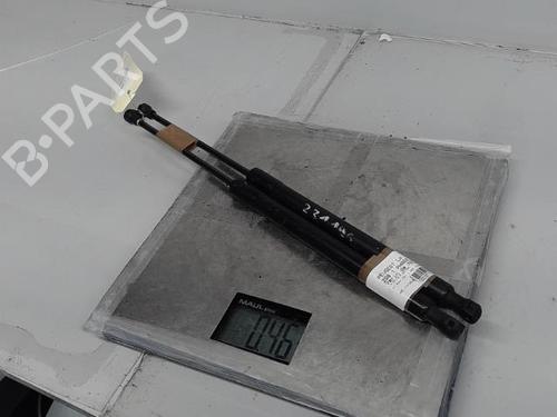 Tailgate lift support PEUGEOT 208 I (CA_, CC_) 1.6 HDi / BlueHDi 75 | BP21318148C138 