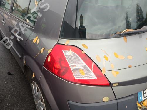 Left mirror RENAULT MEGANE II (BM0/1_, CM0/1_) 1.6 16V (BM0C, CM0C) | BP29910974C26