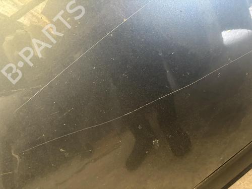 Hood CITROËN C4 Grand Picasso I (UA_) 1.6 HDi | BP21293643C1