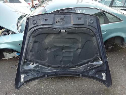 Hood VW TOUAREG (7LA, 7L6, 7L7) 5.0 V10 TDI | BP21313535C1 