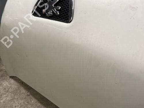 Hood PEUGEOT BIPPER (AA_) 1.4 HDi | BP21302085C1 
