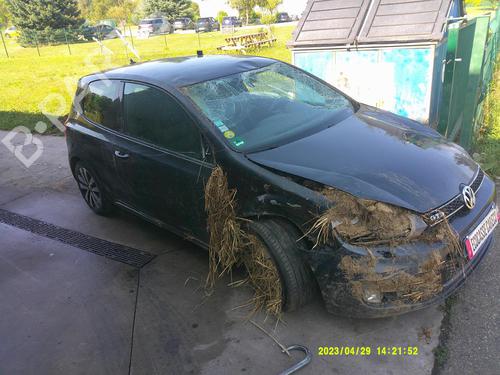 Headlight switch VW GOLF VI (5K1) 2.0 TDI | BP21878009I24 - Image 5