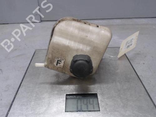 Expansion tank NISSAN QASHQAI / QASHQAI +2 I (J10, NJ10, JJ10E) 1.5 dCi | BP21290380C120 
