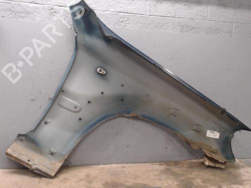 Used Left front fenders HYUNDAI TERRACAN (HP) 2.9 CRDi 4WD (150 hp) 21301591