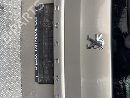 Tailgate PEUGEOT PARTNER Box Body/MPV 1.6 HDi | BP29894435C6