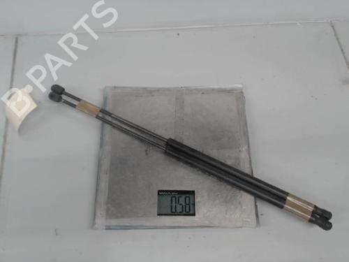 Tailgate lift support FORD FIESTA V (JH_, JD_)  | BP21362792C138 