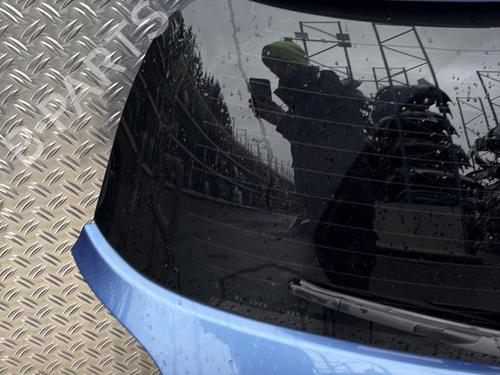 Tailgate RENAULT CLIO III (BR0/1, CR0/1) 1.6 16V GT (BR10, CR10) | BP31363825C6