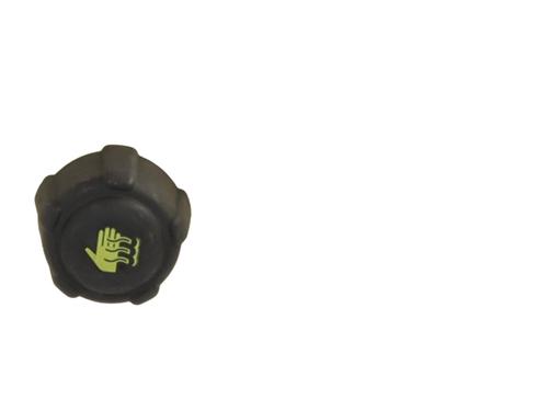 Expansion tank RENAULT MEGANE IV Grandtour (K9A/M/N_) 1.5 Blue dCi 115 (K9A6) | BP21316816C120 
