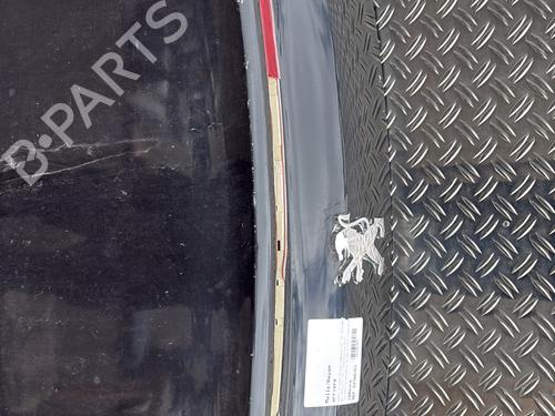 Tailgate PEUGEOT 207 CC (WD_) 1.6 16V | BP21297333C6 