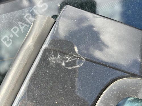 Left rear door PEUGEOT 207 (WA_, WC_) 1.4 16V | BP21293595C4 
