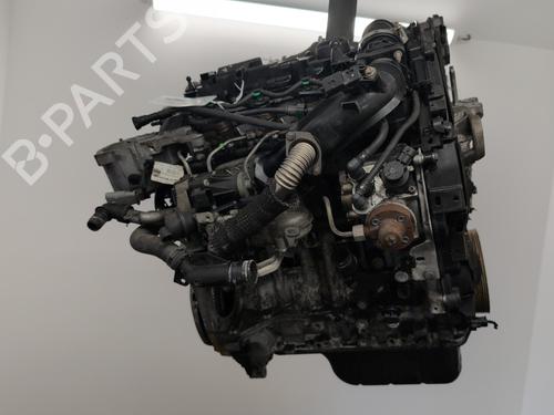 Used Engine FORD FIESTA VI (CB1, CCN) 1.6 TDCi (95 hp) 28170487