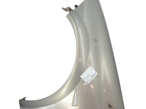 Used Left front fenders RENAULT MEGANE II (BM0/1_, CM0/1_) 1.9 dCi (BM0G, CM0G) (120 hp) 29387834