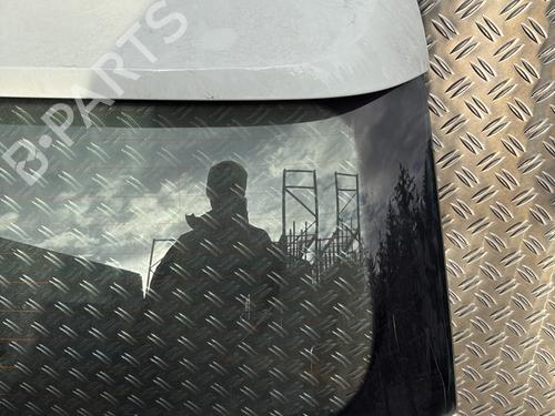 Tailgate VW POLO V (6R1, 6C1) 1.4 TDI | BP21875768C6 