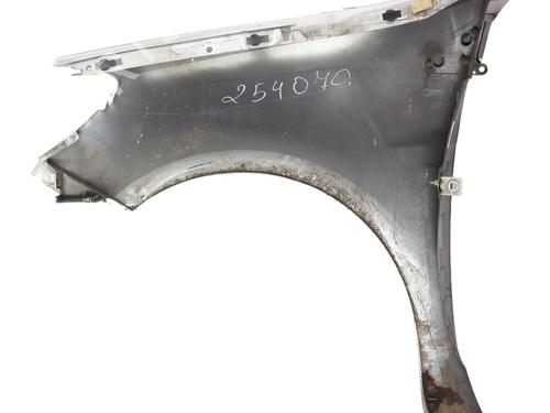 Left front fenders RENAULT CLIO III (BR0/1, CR0/1) 1.5 dCi (BR17, CR17) | BP30492132C41