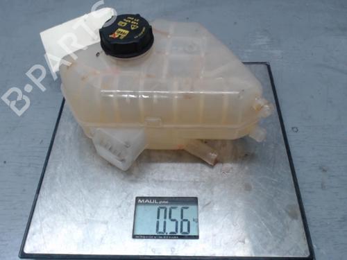 Used Expansion tank FORD KA+ III (UK, FK) 1.2 Ti-VCT (85 hp) 21307713