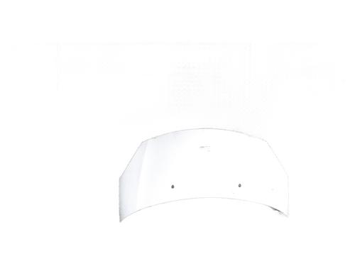 hood-citroen-c3-ii-sc_-2009-33807268 main image