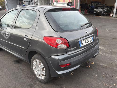 Rear left exterior door handle PEUGEOT 206+ (2L_, 2M_) 1.4 i | BP30002590C130