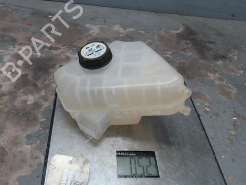 Expansion tank FORD FIESTA VI (CB1, CCN) 1.6 TDCi | BP21296882C120 