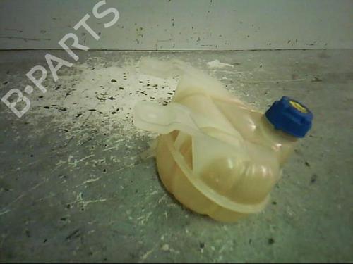 Used Expansion tank FIAT GRANDE PUNTO (199_) 1.2 (65 hp) 21368832