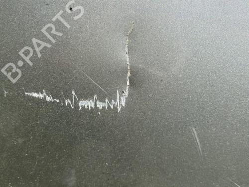 Hood RENAULT KANGOO / GRAND KANGOO II (KW0/1_) 1.5 dCi 70 (KW0V, KW0A) | BP21367960C1 