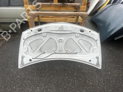 Hood RENAULT CLIO III (BR0/1, CR0/1) 1.2 16V (BR02, BR0J, BR11, CR02, CR0J, CR11) | BP21291683C1 